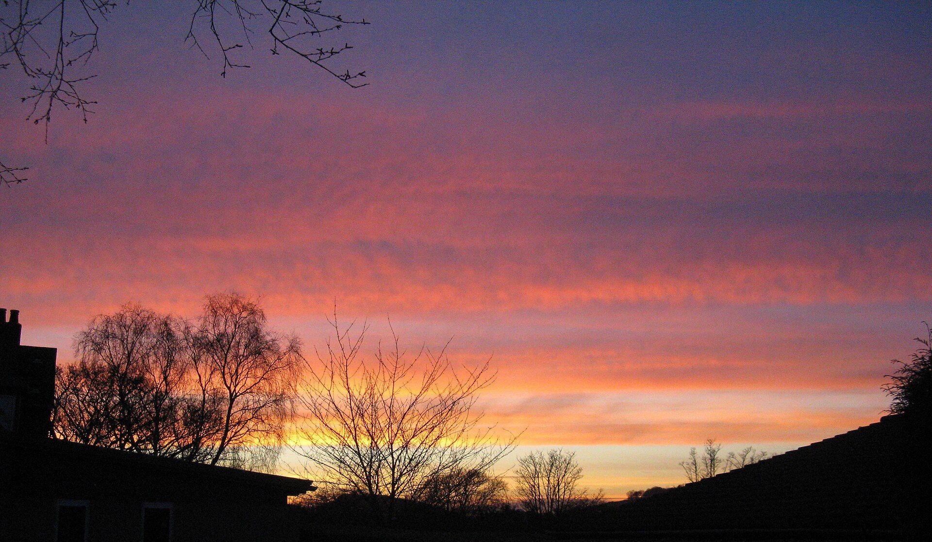 A quiet sunset over the Nebraska horizon, silhouetted trees against a warm sky